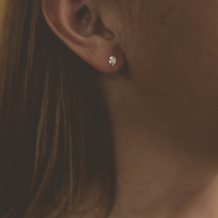 Clover | Stud Earrings